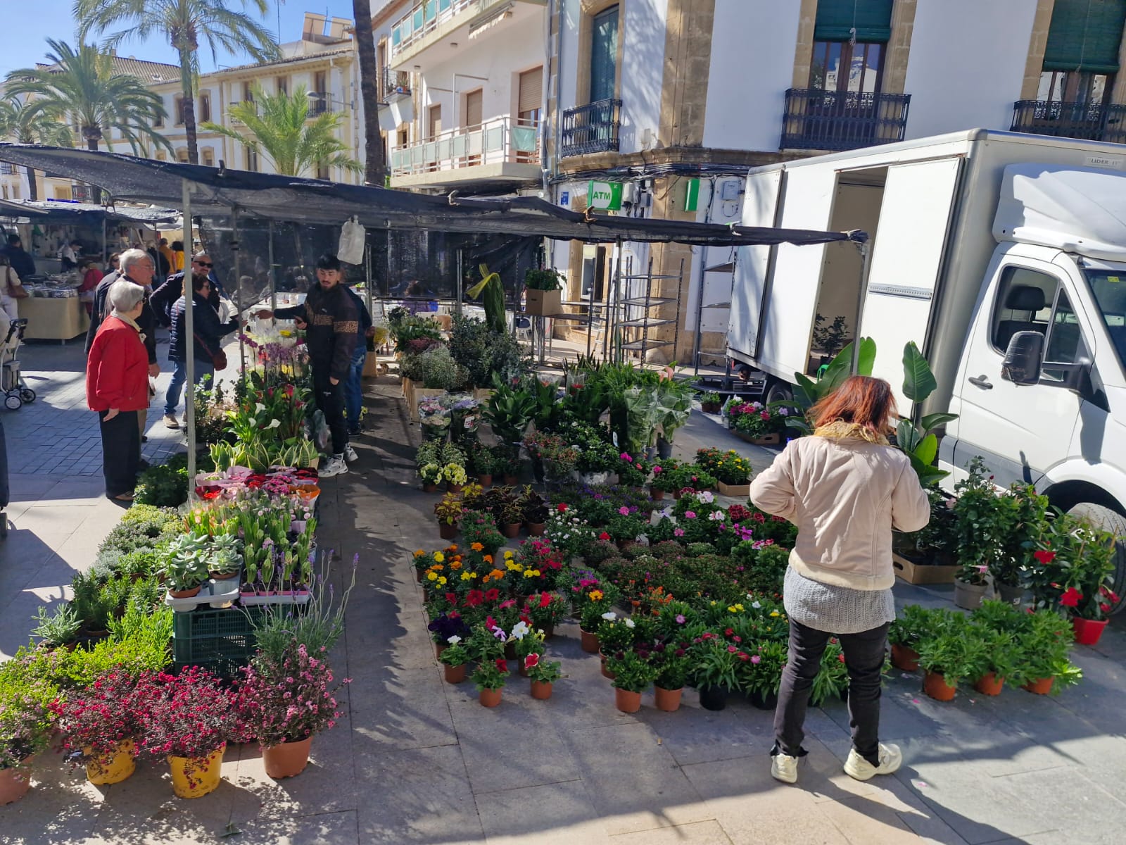 Flower market with plants